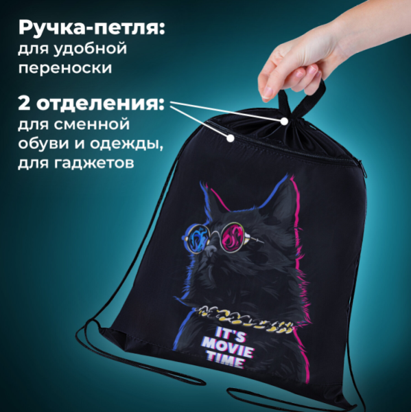 Мешок для обуви BRAUBERG, с петлёй, карман на молнии, 47х37 см., рисунок Кот в очках